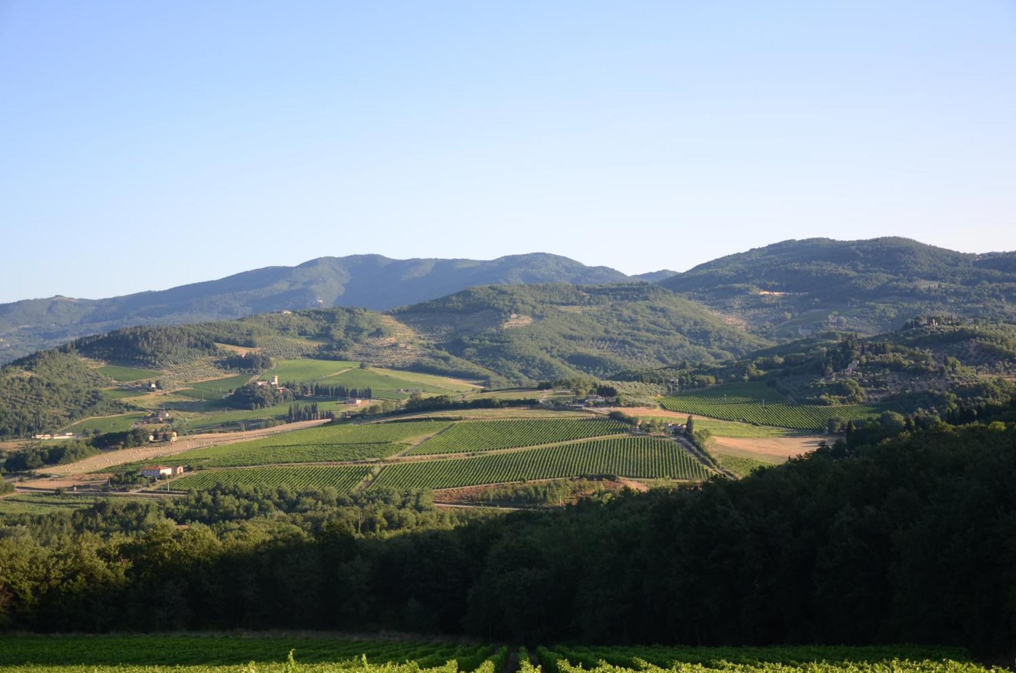 Agriturismo Marchesi Gondi Pontassieve Exterior foto